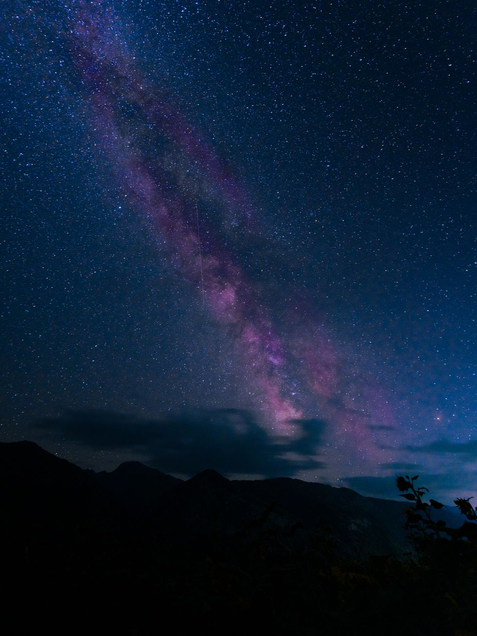 Night sky filled with countless stars over a mountain desert